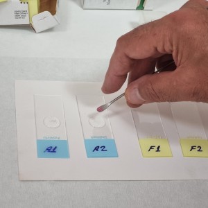 Kalıcı Slayt Hazırlama - Yemlerin Mikroskopik Veri Tabanı