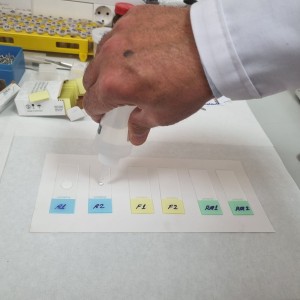 Kalıcı Slayt Hazırlama - Yemlerin Mikroskopik Veri Tabanı