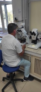 Polarize Işık Mikroskobunda İncelemeler - Yemlerin Mikroskopik Veri Tabanı