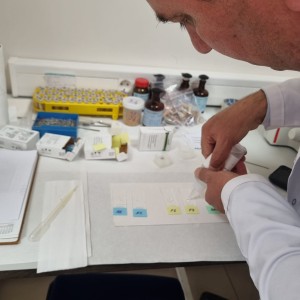 Kalıcı Slayt Hazırlama - Yemlerin Mikroskopik Veri Tabanı