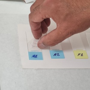 Kalıcı Slayt Hazırlama - Yemlerin Mikroskopik Veri Tabanı