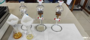 Numunenin Flotasyonu - Yemlerin Mikroskopik Veri Tabanı